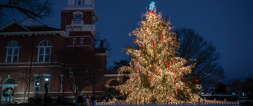 The 33rd annual Lighting of the Tree has gone virtual this year!